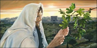 jesus n fig tree